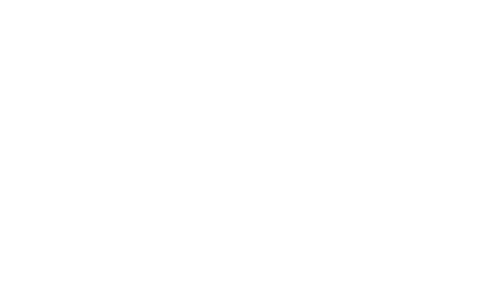 Palmetto Hotel, a Dreamscape Hospitality Partner